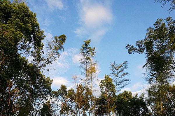 包河區生態(tài)環(huán)境分局：藍天不是等出來(lái)的，是干出來(lái)的